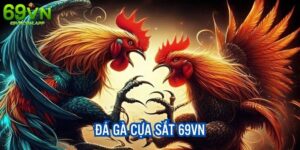 Đá gà cựa sắt 69VN